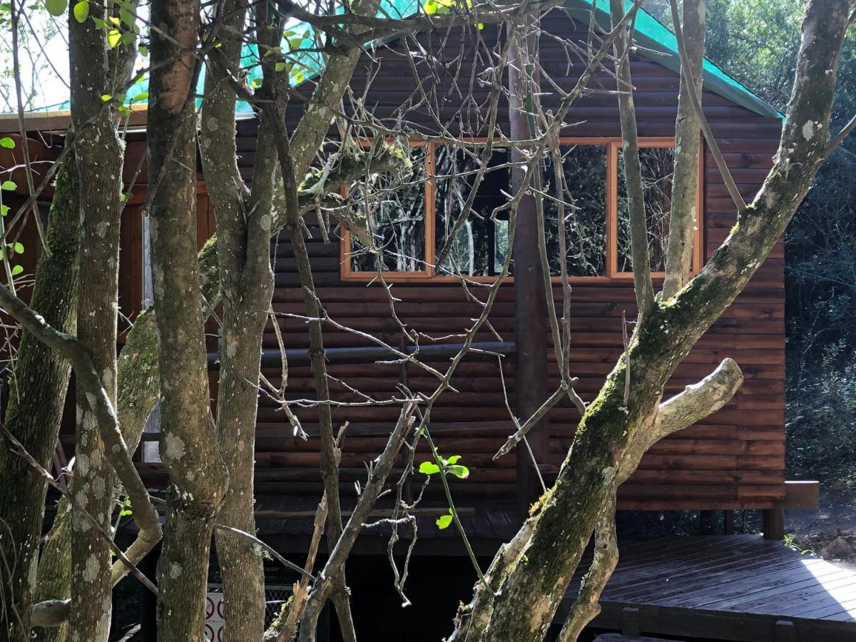 Teniqua Treetops Karatara Settlement Exterior foto