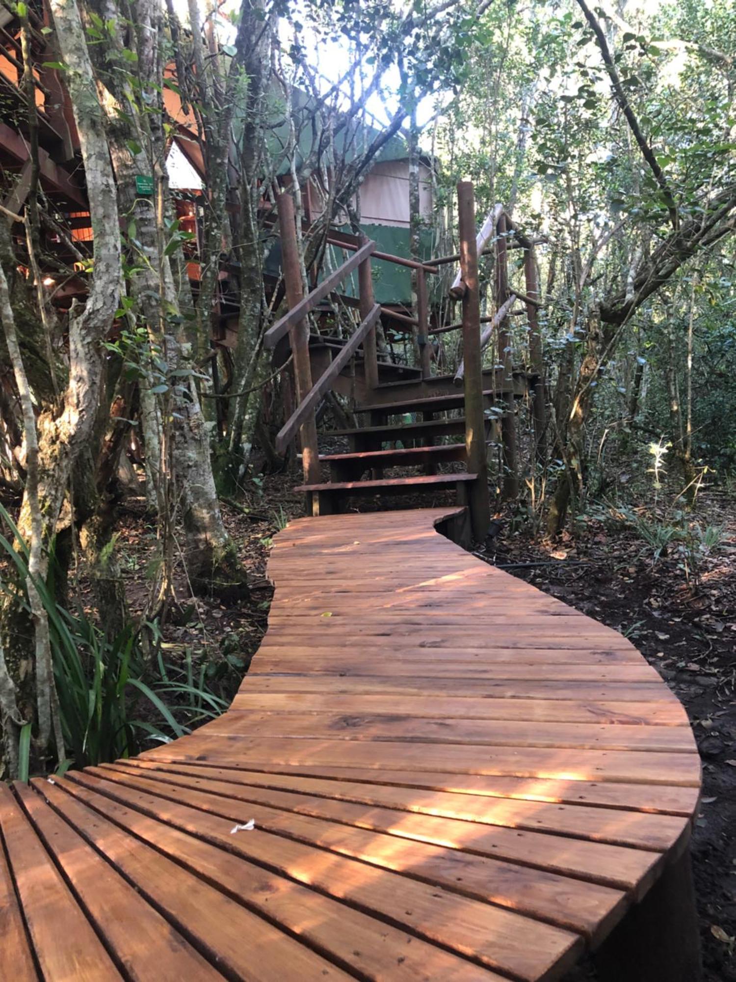 Teniqua Treetops Karatara Settlement Exterior foto