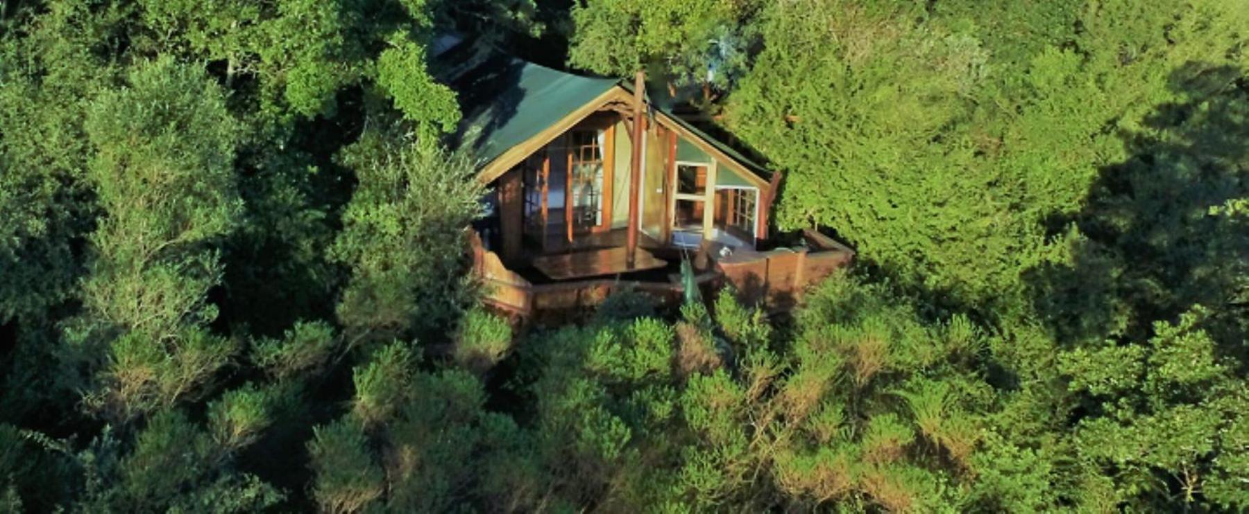 Teniqua Treetops Karatara Settlement Exterior foto