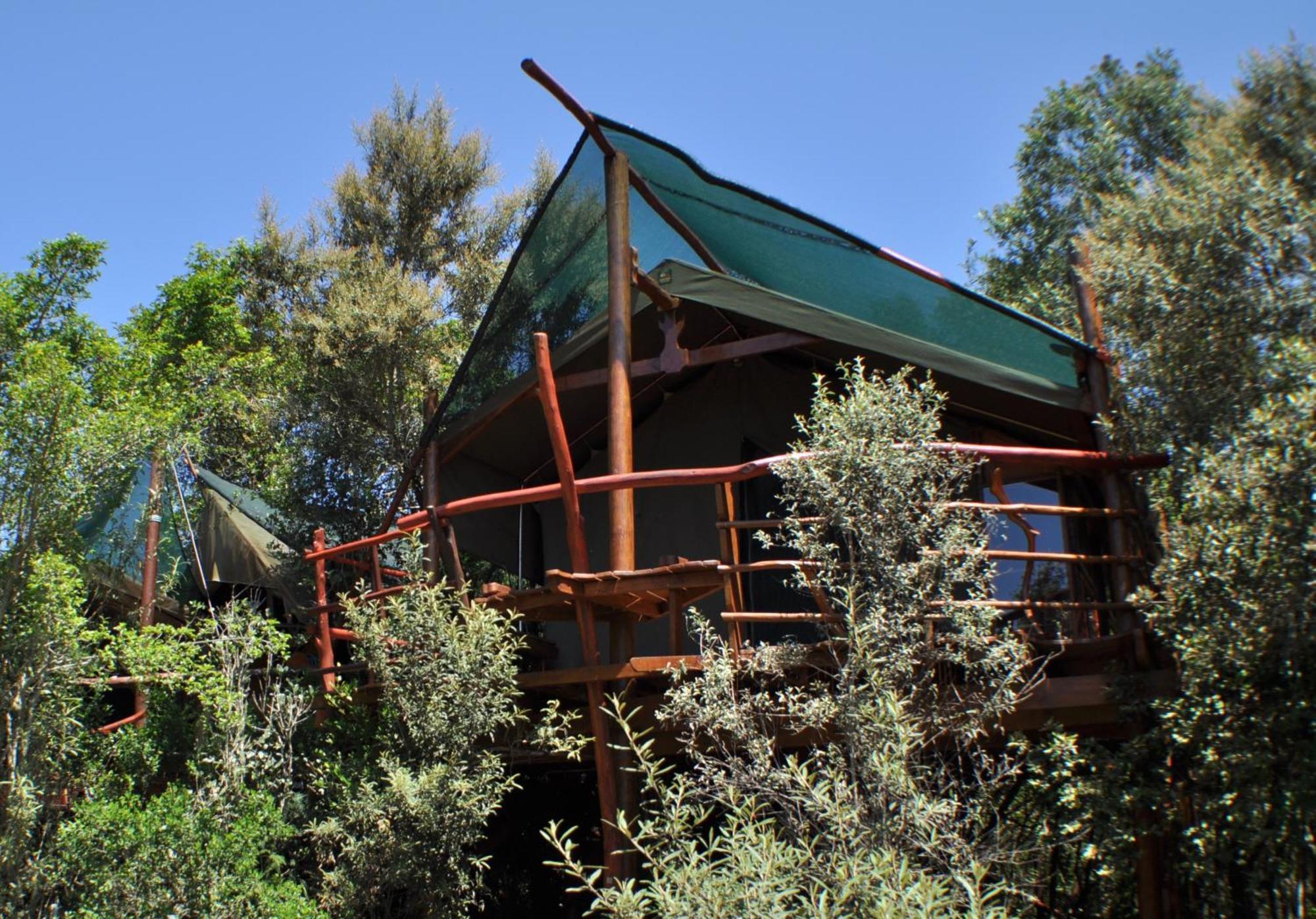 Teniqua Treetops Karatara Settlement Exterior foto