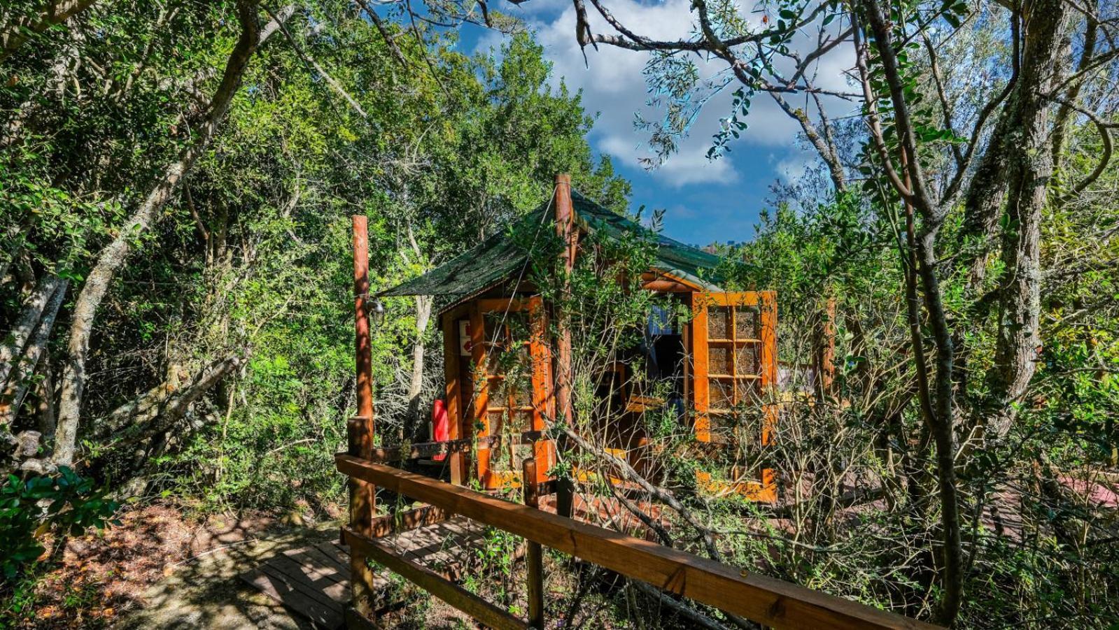 Teniqua Treetops Karatara Settlement Quarto foto