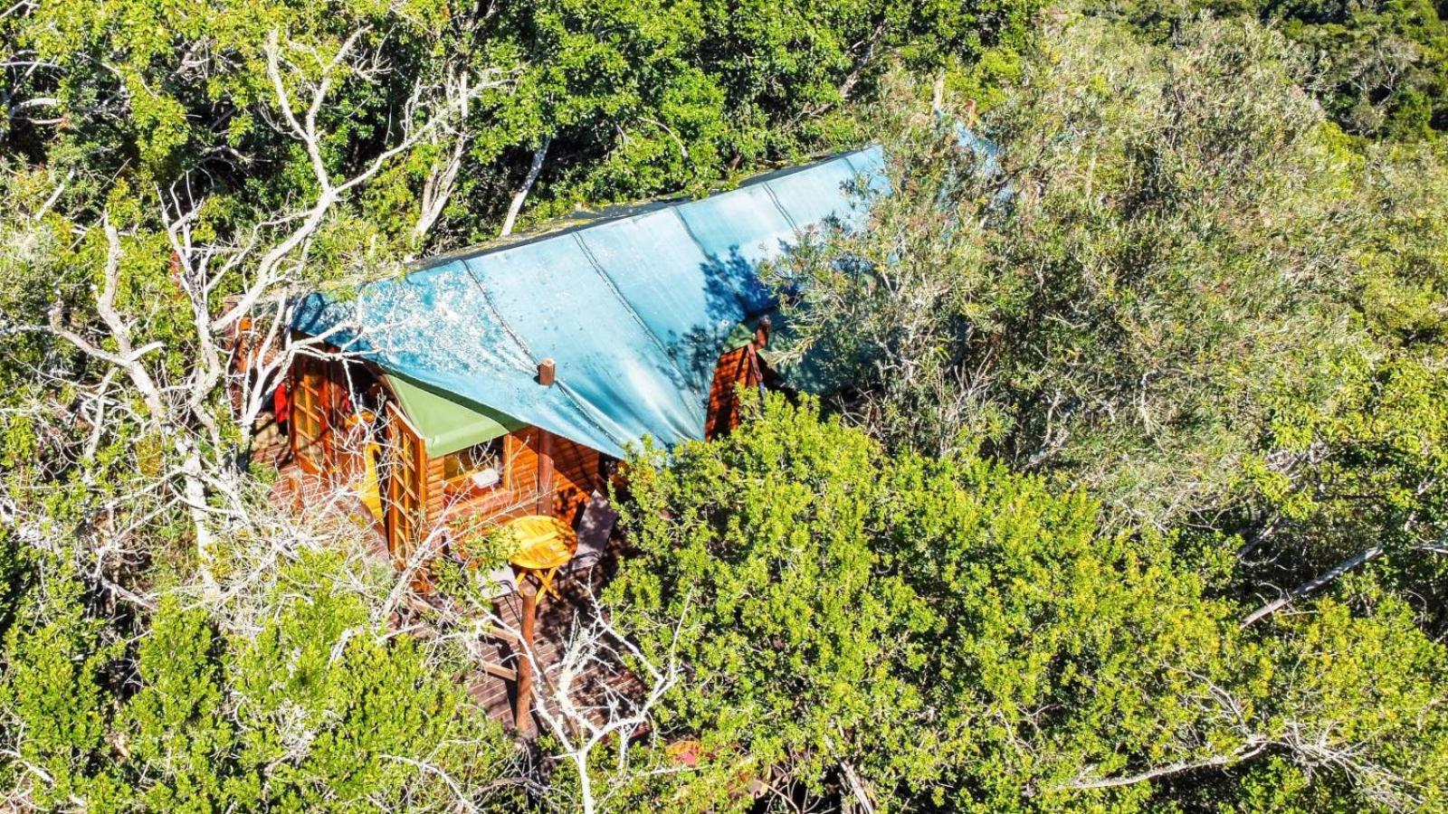 Teniqua Treetops Karatara Settlement Quarto foto