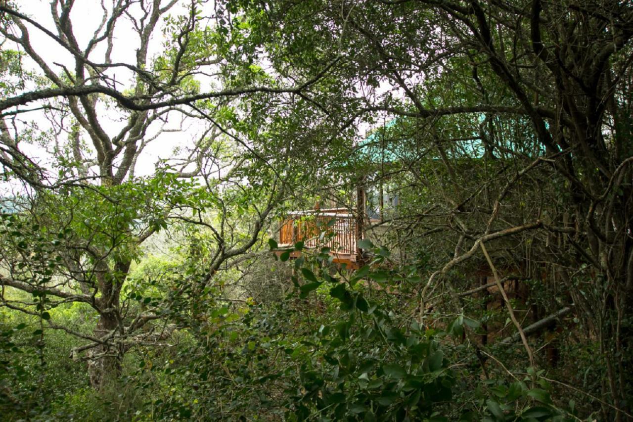 Teniqua Treetops Karatara Settlement Exterior foto