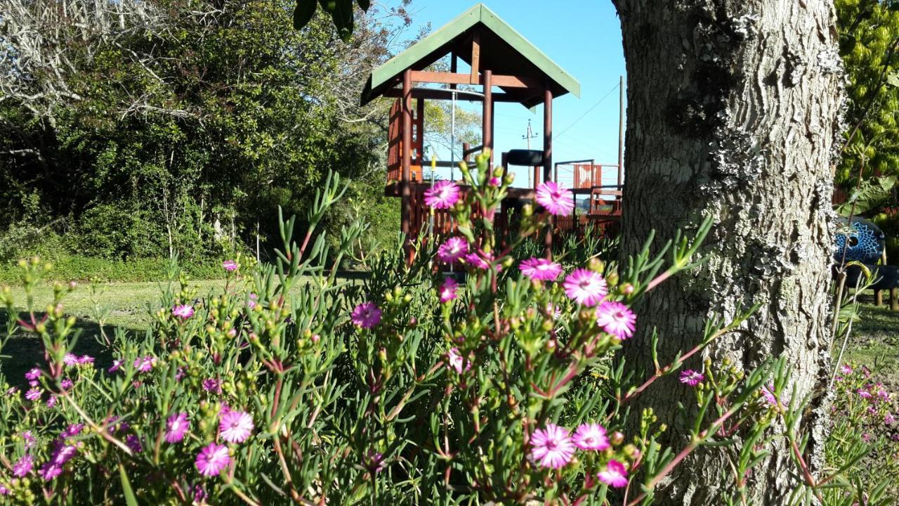 Teniqua Treetops Karatara Settlement Exterior foto
